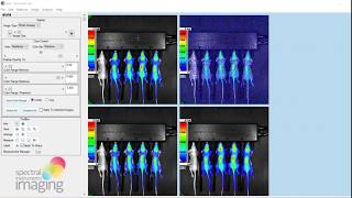 Aura Imaging Software: Analysis Tutorial