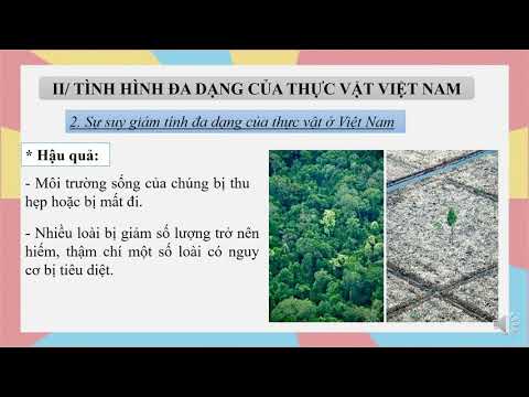 Sinh học 6 - STT 12 - Bảo vệ sự đa dạng của thực vật