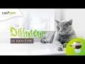 Catizen   diffuseur de bientre pour chats