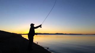 #WAKETHEBAY - Willard Bay fishing is starting soon...