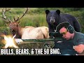 Bulls bears and the 50 bmg