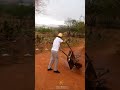 CHUVA POVOADO MACETE-QUIJINGUE BA🏜️🏜️🏜️🏜️🏜️