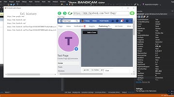 Chrome embed softwareC#