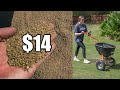 Cheap Organic Lawn Fertilizer