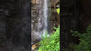 Норвегия, Стадия Адаптации Øde