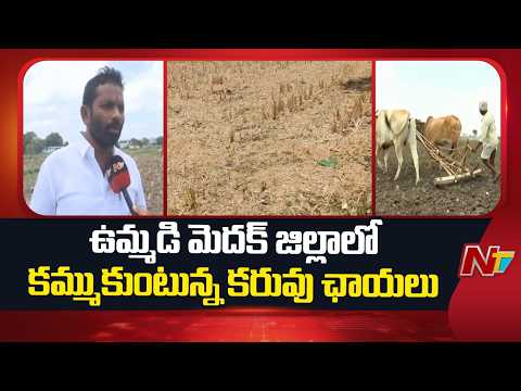 Medak District : ఉమ్మడి మెదక్ జిల్లాలో కమ్ముకుంటున్న కరువు ఛాయలు  | NTV Telugu