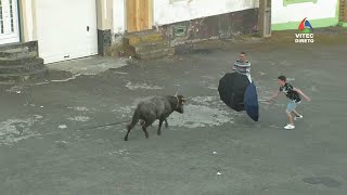 Tourada à corda in Ribeirinha, 2019