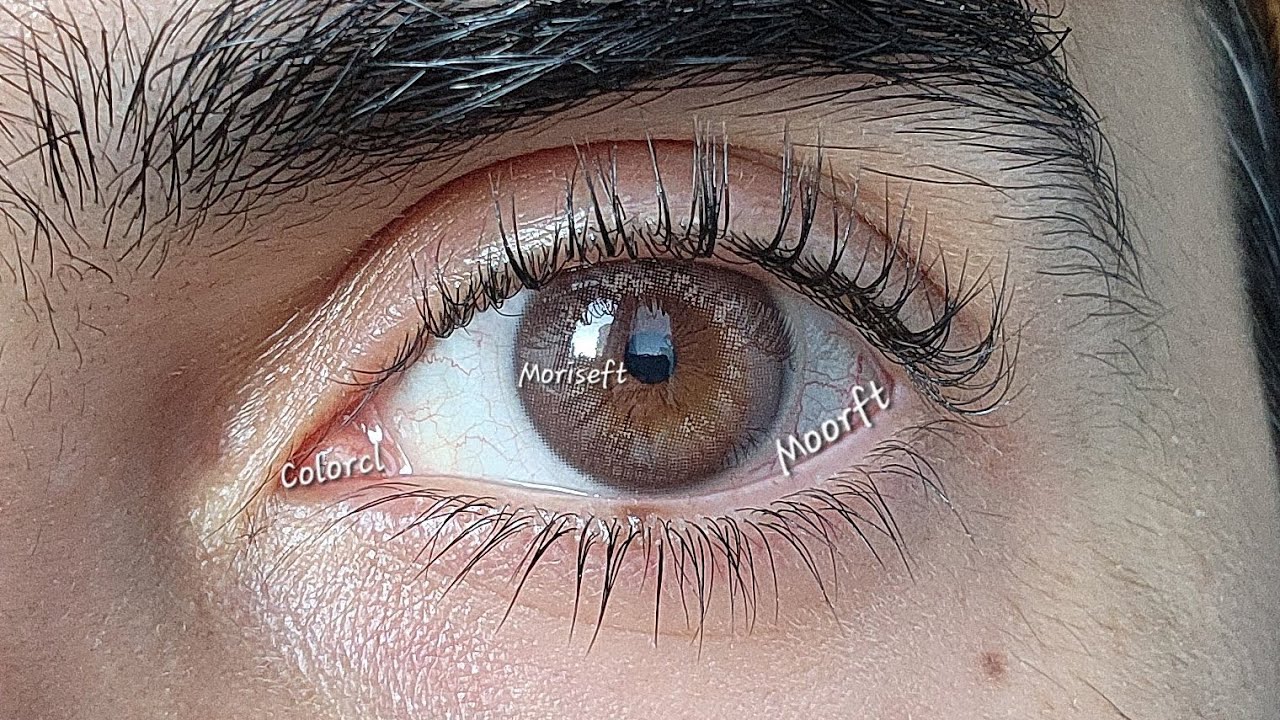 Siesta Humboldt Ultra Moist 