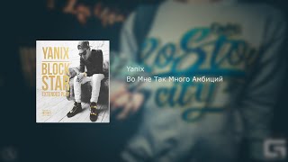 Yanix -  Во мне так много амбиций (текст, lyrics)