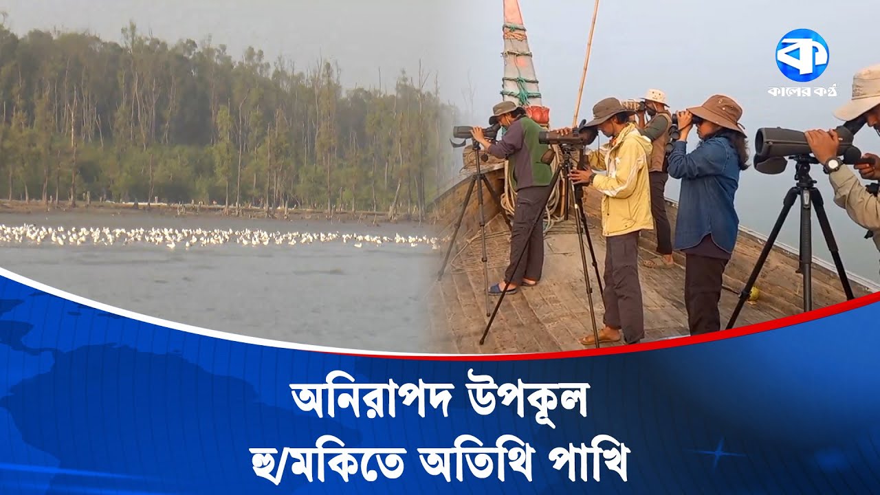 উপকূলে অস্তিত্ব সংকটে অতিথি পাখি | Migratory Birds | Coastal Environment | Kaler Kantho
