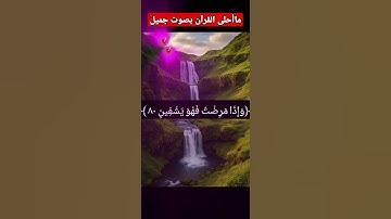 #اكسبلور #القرآن_الكريم ﴿ الذي خلقني فهو يهدين﴾ القارئ_علي عمر.🌺🌺