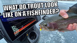 Ice Fishing Trout: What Do They Look Like on a Fish Finder?