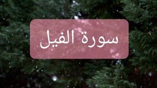 تلاوة من سورة الفيل - القارئ عبدالرحمن العوسي