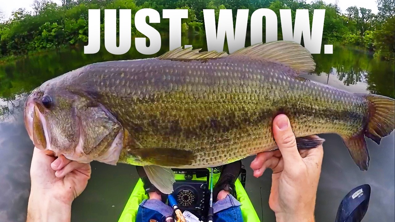This Simple Strategy Catches Giant Bass (Iowa Bass Fishing)