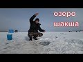 Ловим чебака за огородами на озере Шакша. зимняя рыбалка