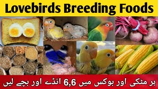 birds breeding foods | mixsead for lovebirds | lovebirds winter softfoods | fisher,lutino,albino screenshot 2