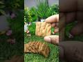 Tiger Krunch Chocochips ASMR Crunchy cookies #shortcake #Eating 😋 | Satisfying Snack Sounds #asmr