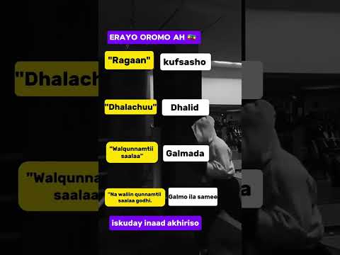 Af Oromo VS Af Somali
