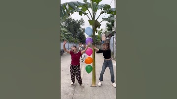 Cả Làng Cười Bung Nóc Vì Nổ Bóng Bay! 😂#funny #comedy #viral #shorts #short #funnyvideo