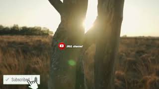 Download Lagu Instrumen Islami Sedih || musik menyayat hati MP3