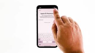 How To Fix Iphone 11 No Service Issue
