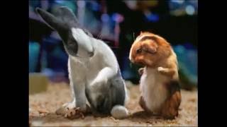 Blockbuster - Mouse Click (2002/7, USA)