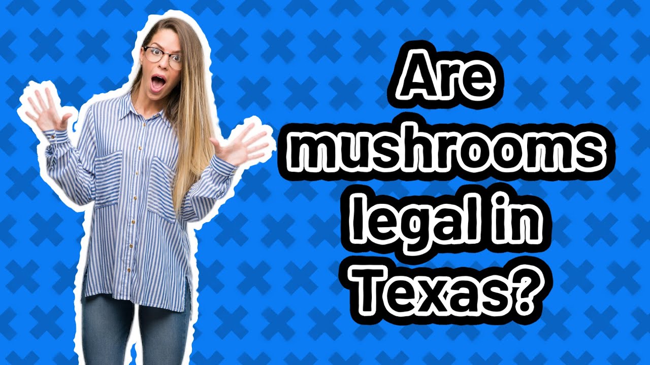 Where Are Mushrooms Legal In Michigan Map Where Are Mushrooms Legal In Michigan Map