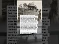 1 Sailor Stayed Behind to Close the Hatches and Save the Ship | Military History Talks