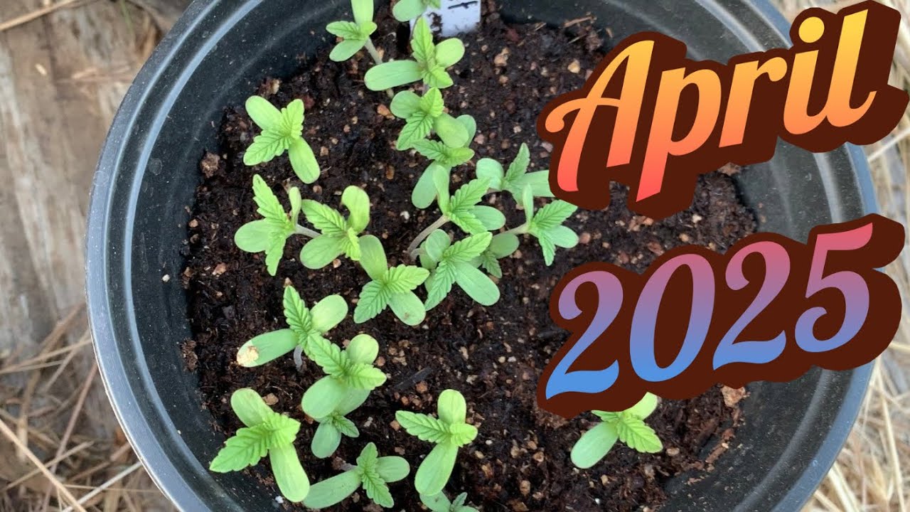 End Of April Garden Tour 2025