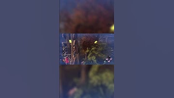 this chris ruins my pallet save perfectly | Dead by Daylight Gameplay Indonesia #shorts