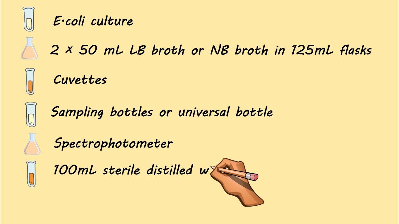 Experiment 4 Group 5 BASIC PRINCIPLES OF FERMENTATION SHAKE FLASK