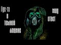 STALKER RP Dark Way АлкоТур по зоне