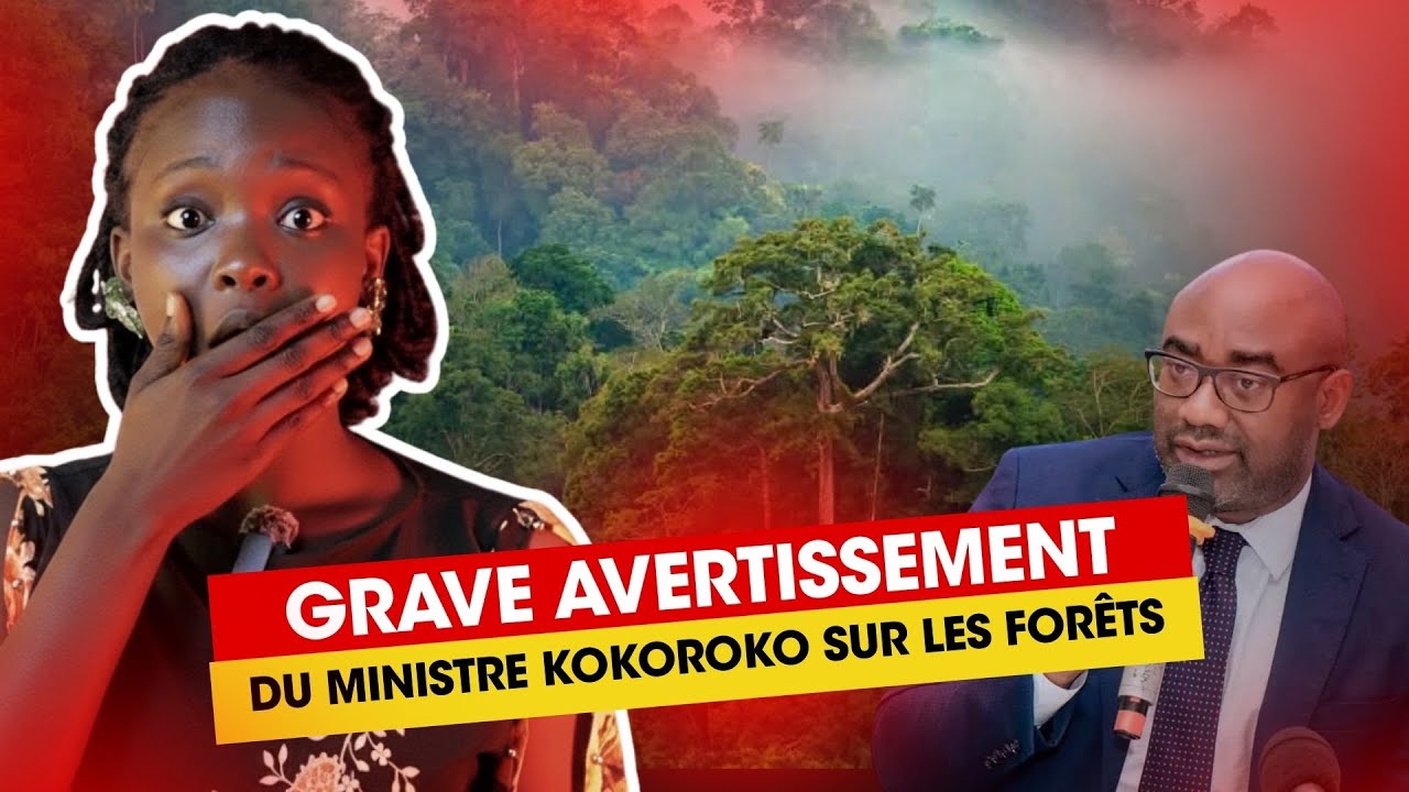 Alerte du ministre Kokoroko : forêts en danger, drogues détruites, IA en progrès