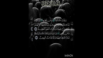 سوره النساء عدد آياتها ١٧٦ آيه(سوره مدنيه ) من الآيه ١٣ إلي الآيه ١٤