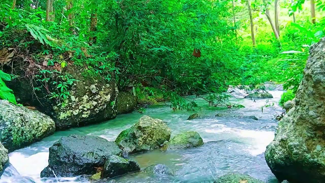 Soothing River Flow 🌿 Soothing Nature Sounds for Sleep, Meditation & Stress Relief