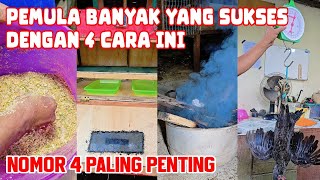 4 RAHASIA SUKSES TERNAK AYAM KAMPUNG! Nomor 4 adalah Kunci Utama yang Jarang Diketahui!