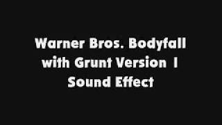Warner Bros Bodyfall With Grunt Version 1 Sfx
