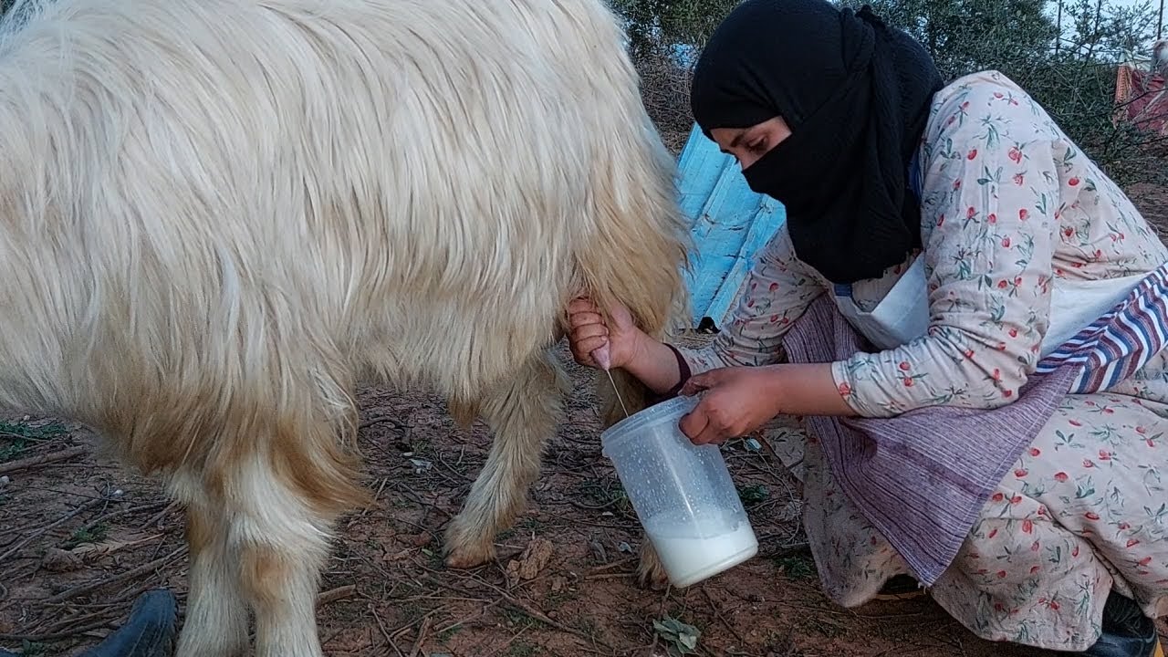 بنت الريف في رمضان تشتغل دون توقف لتحضر مائدة رمضانية متنوعة