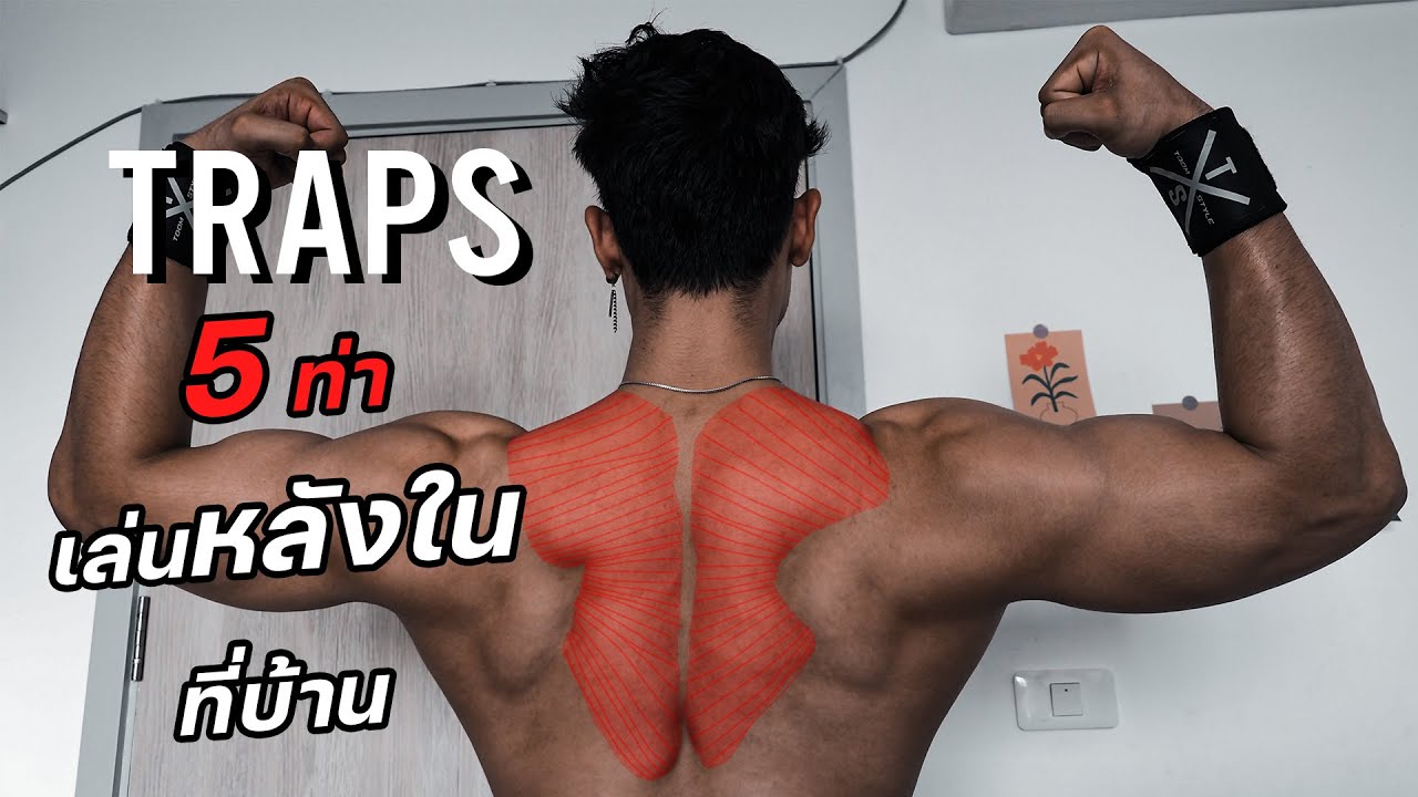 ท่าเล่นหลัง  Update New  5 ท่าเล่นหลังในที่บ้าน หลังหนาโครตเท่  [Traps]