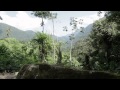 Colombia Series - Trek de la Ciudad Perdida