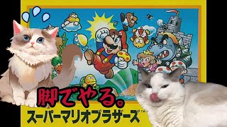 【SMB】スーパーマリオブラザーズ 脚でやる。#2【新猫Vtuber】#shorts