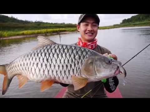 Rapala Shad Dancer