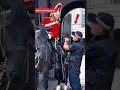 Tourist got too close to the Kings guard