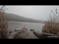🍀 Утро у реки 🍀 25 марта 2023 🍀 Юг Украины 🍀 Звуки живой природы 🍀 Туман над рекой 🍀 Весёлые белки 🍀