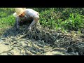 This Muddy Water Hides a Big Surprise! ¦ Amazing Fishing. LIVE