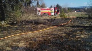 Vypaľovanie Porastov