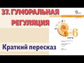 37. Гуморальная регуляция. Биология 5-6 класс - Пасечников В.В. Краткий пересказ.