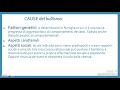 24 CFU - COMPETENZE SOCIALI DEL DOCENTE: le cause del BULLISMO