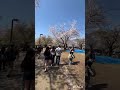 ワンちゃん日常#代々木公園桜🌸見😍❤️