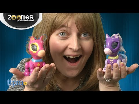 Zoomer Zupps Pretty Ponies from Spin Master